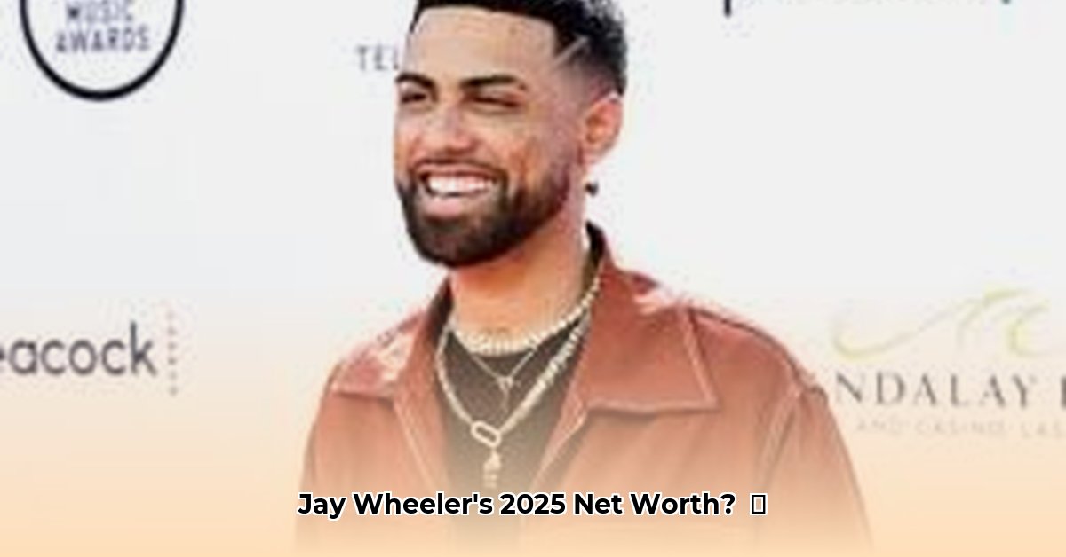jay-wheeler-net-worth